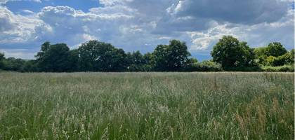 Terrain seul à Sablé-sur-Sarthe en Sarthe (72) de 292 m² à vendre au prix de 32900€