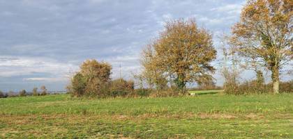 Terrain seul à Bessay en Vendée (85) de 2190 m² à vendre au prix de 38300€
