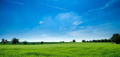 Terrain seul à Montfort-l'Amaury en Yvelines (78) de 1613 m² à vendre au prix de 499000€
