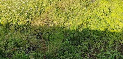Terrain seul à La Bernerie-en-Retz en Loire-Atlantique (44) de 424 m² à vendre au prix de 189800€