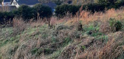 Terrain seul à La Ferté-Alais en Essonne (91) de 583 m² à vendre au prix de 106000€