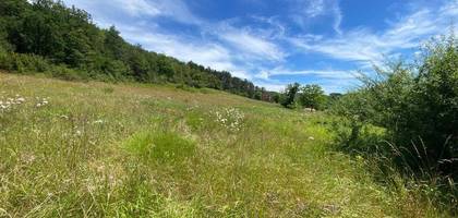 Terrain seul à Saint-André-d'Allas en Dordogne (24) de 2000 m² à vendre au prix de 40000€