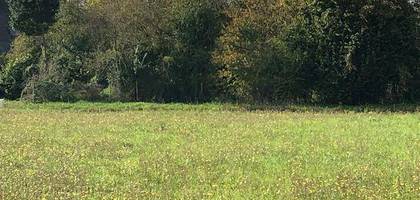Terrain seul à Bellevigne-en-Layon en Maine-et-Loire (49) de 480 m² à vendre au prix de 38000€