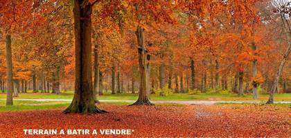 Terrain seul à Salins en Seine-et-Marne (77) de 1492 m² à vendre au prix de 57000€