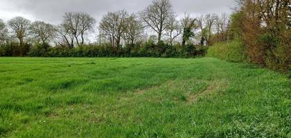 Terrain seul à Surgères en Charente-Maritime (17) de 233 m² à vendre au prix de 24991€