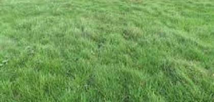 Terrain seul à Villeblevin en Yonne (89) de 824 m² à vendre au prix de 55000€