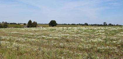 Terrain seul à Rosay en Seine-Maritime (76) de 650 m² à vendre au prix de 67000€