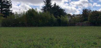 Terrain seul à Cheillé en Indre-et-Loire (37) de 271 m² à vendre au prix de 39000€