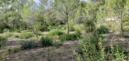 Terrain seul à Assas en Hérault (34) de 313 m² à vendre au prix de 215000€