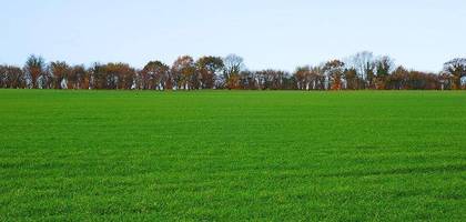 Terrain seul à Caromb en Vaucluse (84) de 430 m² à vendre au prix de 119000€