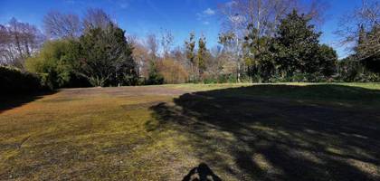 Terrain seul à Uzeste en Gironde (33) de 2600 m² à vendre au prix de 135000€