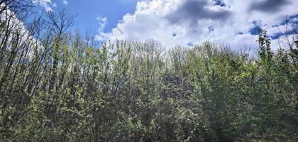 Terrain seul à Marsac-sur-l'Isle en Dordogne (24) de 1100 m² à vendre au prix de 60000€