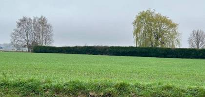 Terrain seul à Gonnehem en Pas-de-Calais (62) de 700 m² à vendre au prix de 64200€