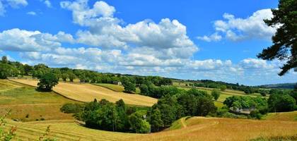 Terrain seul à Sadroc en Corrèze (19) de 1265 m² à vendre au prix de 37000€