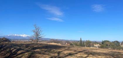 Terrain seul à Banyuls-dels-Aspres en Pyrénées-Orientales (66) de 566 m² à vendre au prix de 148000€