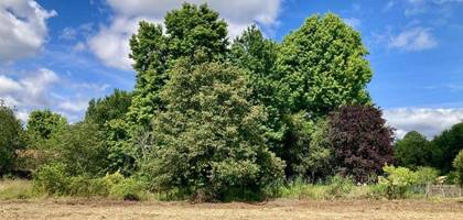 Terrain seul à La Lande-de-Fronsac en Gironde (33) de 343 m² à vendre au prix de 67100€