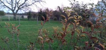 Terrain seul à Bouzonville-aux-Bois en Loiret (45) de 900 m² à vendre au prix de 45000€