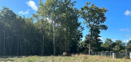 Terrain seul à Le Porge en Gironde (33) de 650 m² à vendre au prix de 190000€