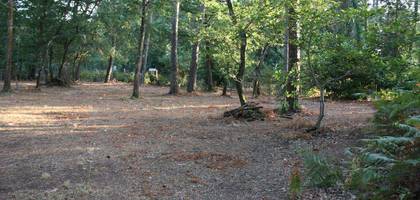 Terrain seul à Beaumont-en-Véron en Indre-et-Loire (37) de 600 m² à vendre au prix de 60000€