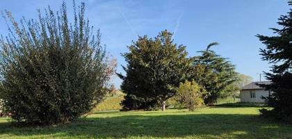 Terrain seul à Baigneaux en Gironde (33) de 1177 m² à vendre au prix de 55000€