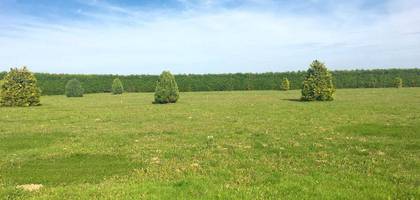 Terrain seul à Hangest-en-Santerre en Somme (80) de 932 m² à vendre au prix de 47000€