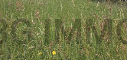 Terrain seul à Montlieu-la-Garde en Charente-Maritime (17) de 0 m² à vendre au prix de 55000€