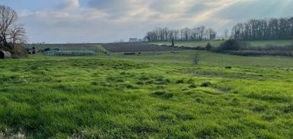 Terrain seul à Saint-Sauveur-de-Puynormand en Gironde (33) de 0 m² à vendre au prix de 25000€