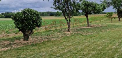 Terrain seul à Montreuil-sur-Loir en Maine-et-Loire (49) de 500 m² à vendre au prix de 62000€