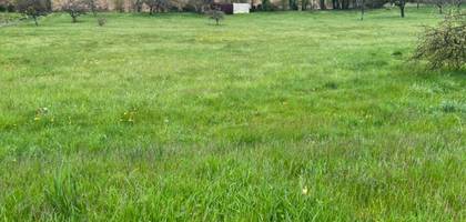 Terrain seul à Villadin en Aube (10) de 0 m² à vendre au prix de 25000€