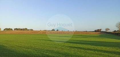 Terrain seul à Mervent en Vendée (85) de 3880 m² à vendre au prix de 49500€