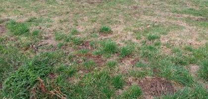 Terrain seul à Saint-Valery-en-Caux en Seine-Maritime (76) de 738 m² à vendre au prix de 47470€