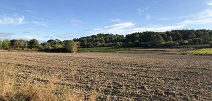 Terrain seul à Aigues-Vives en Gard (30) de 251 m² à vendre au prix de 115000€