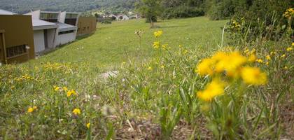 Terrain seul à Amagney en Doubs (25) de 636 m² à vendre au prix de 83500€