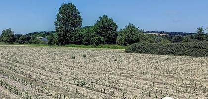 Terrain seul à Assat en Pyrénées-Atlantiques (64) de 1042 m² à vendre au prix de 83000€