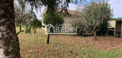 Terrain seul à Sainte-Hélène en Gironde (33) de 0 m² à vendre au prix de 239000€ - 3