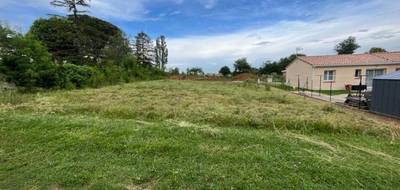 Programme terrain + maison à Senouillac en Tarn (81) de 99 m² à vendre au prix de 233600€ - 4