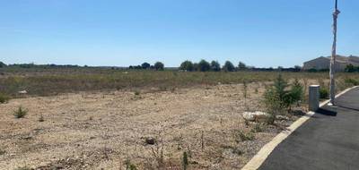 Programme terrain + maison à Vendres en Hérault (34) de 70 m² à vendre au prix de 224950€ - 4