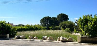 Programme terrain + maison à Laudun-l'Ardoise en Gard (30) de 120 m² à vendre au prix de 385000€ - 4