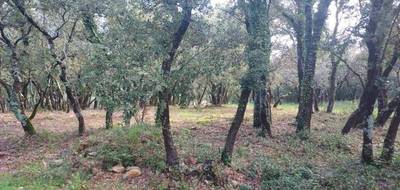 Terrain seul à Sainte-Anastasie-sur-Issole en Var (83) de 2700 m² à vendre au prix de 156000€ - 4