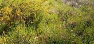 Terrain seul à Arcachon en Gironde (33) de 800 m² à vendre au prix de 1145950€ - 3