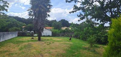 Programme terrain + maison à Saint-Palais-sur-Mer en Charente-Maritime (17) de 100 m² à vendre au prix de 527757€ - 3