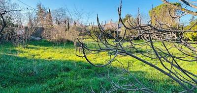 Terrain seul à Besse-sur-Issole en Var (83) de 480 m² à vendre au prix de 110000€ - 4