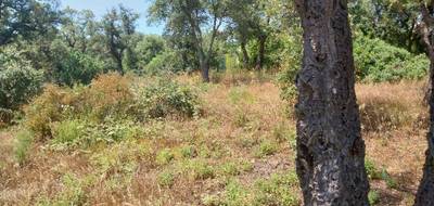 Terrain seul à Saint-Raphaël en Var (83) de 1843 m² à vendre au prix de 640000€ - 4