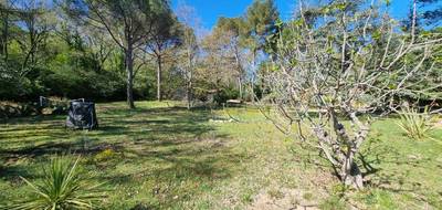 Terrain seul à Alleins en Bouches-du-Rhône (13) de 972 m² à vendre au prix de 245000€ - 3