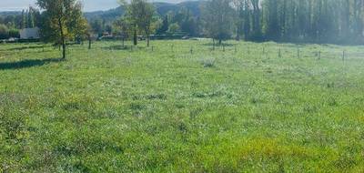 Terrain seul à Vallon-Pont-d'Arc en Ardèche (07) de 903 m² à vendre au prix de 65000€ - 2
