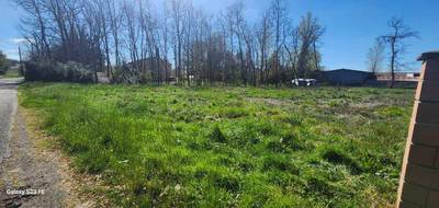 Programme terrain + maison à Lagrave en Tarn (81) de 110 m² à vendre au prix de 251000€ - 4
