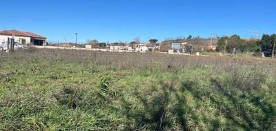 Terrain seul à Baziège en Haute-Garonne (31) de 576 m² à vendre au prix de 139900€ - 2