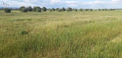 Terrain seul à Cruscades en Aude (11) de 535 m² à vendre au prix de 85000€ - 1