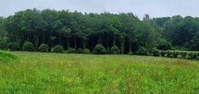 Programme terrain + maison à Bonneville-la-Louvet en Calvados (14) de 183 m² à vendre au prix de 354421€ - 4