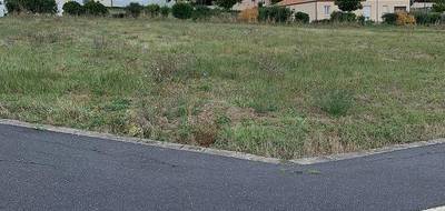 Programme terrain + maison à Chavagnes-en-Paillers en Vendée (85) de 100 m² à vendre au prix de 212009€ - 4